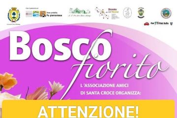 Bosco Fiorito 2025 - 27 aprile