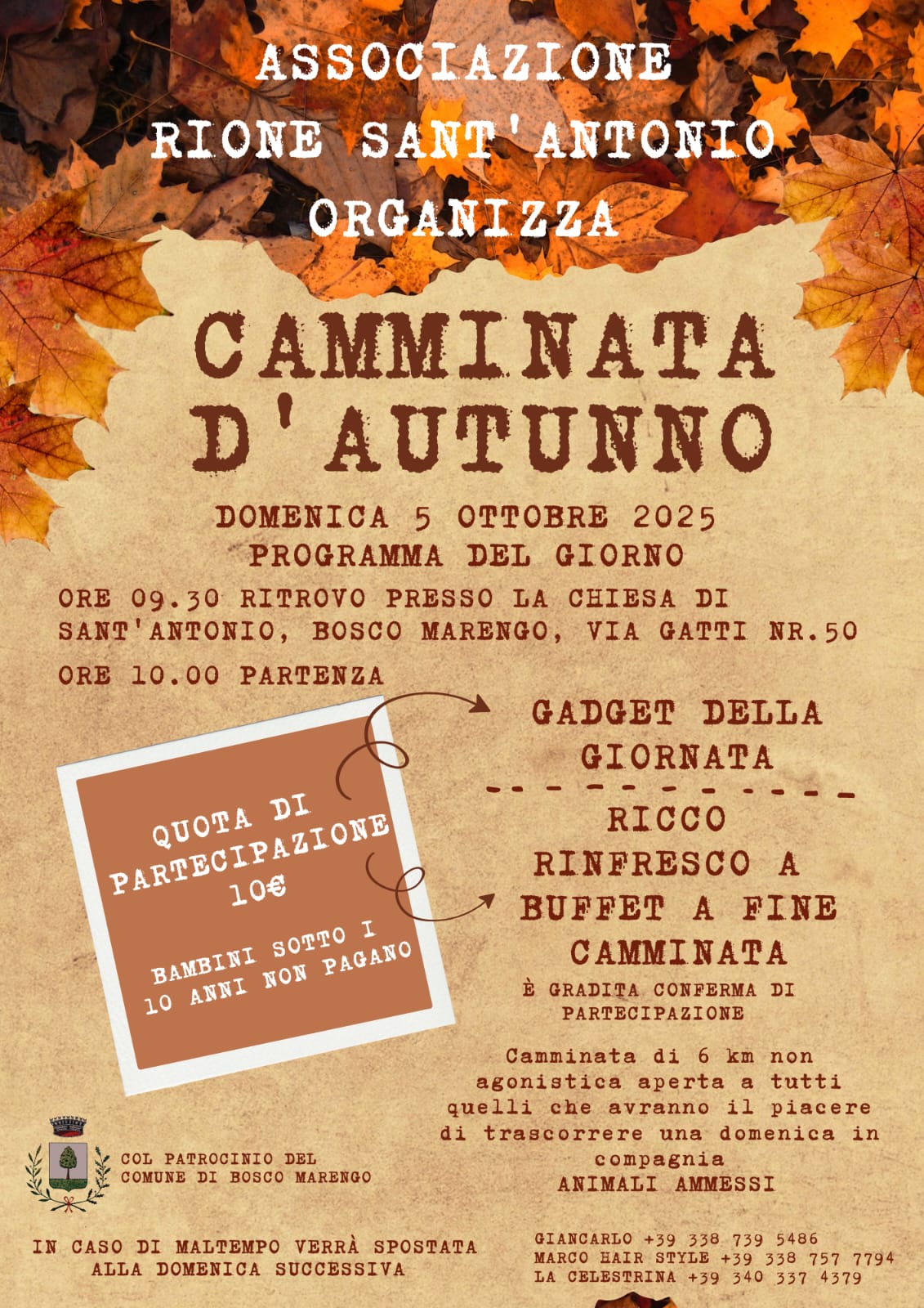Camminata d'autunno