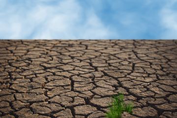 D.L. 9 agosto 2022, n. 115 - Misure urgenti in materia di energia, emergenza idrica, politiche sociali e industriali – Termine per la trasmissione del